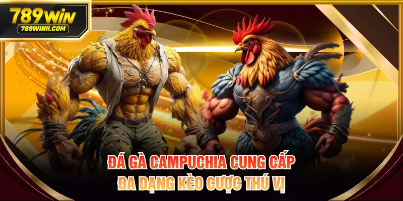 Đá gà Campuchia cung cấp đa dạng kèo cược thú vị